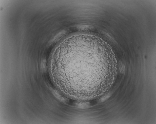 X0000082690670200702091659