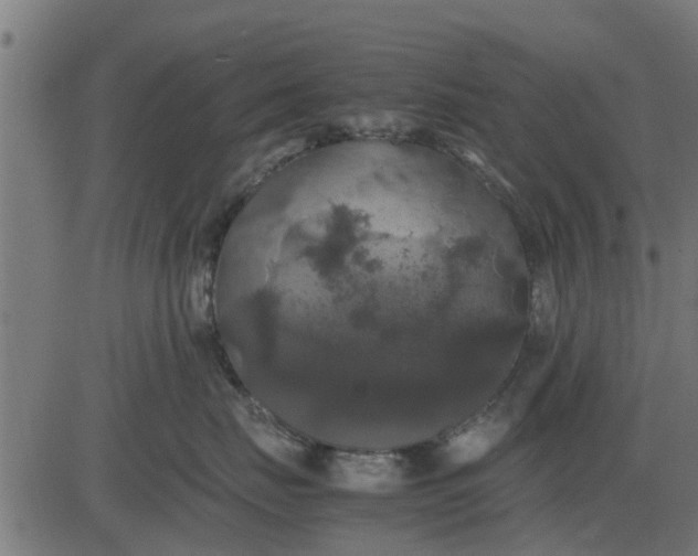 X0000082690671200702091659