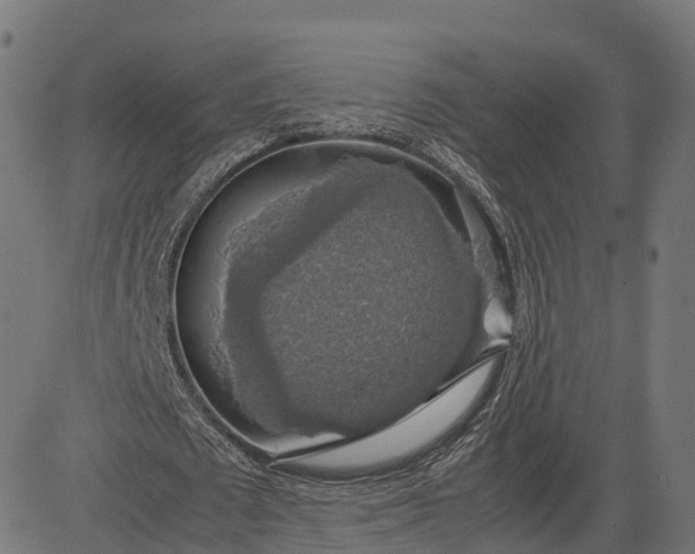 X0000082690673200702091658