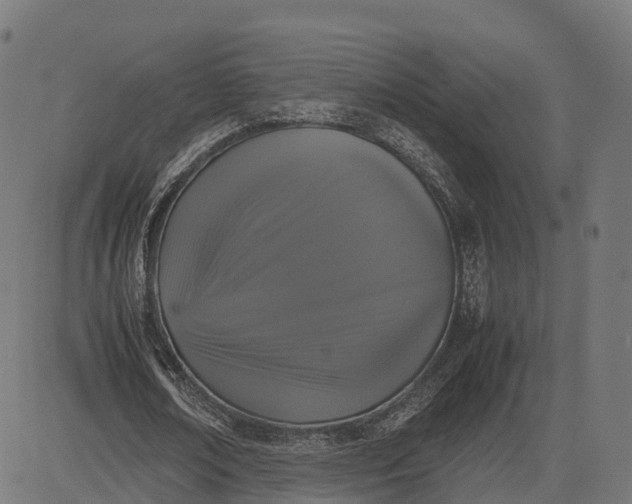 X0000082690674200702091658