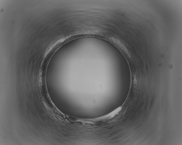 X0000082690676200702091658