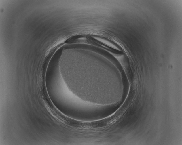 X0000082690677200702091658