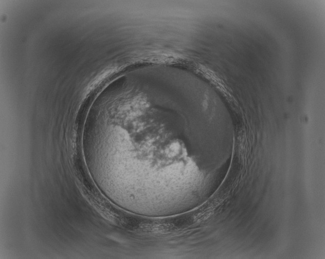 X0000082690679200702091658