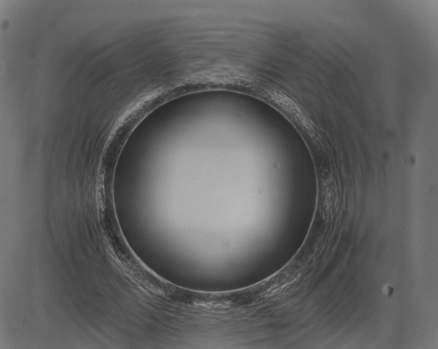 X0000082690680200702091658