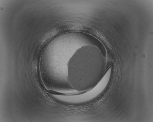 X0000082690681200702091658