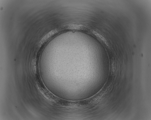 X0000082690682200702091658