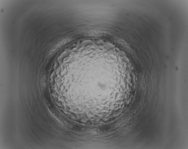 X0000082690683200702091658