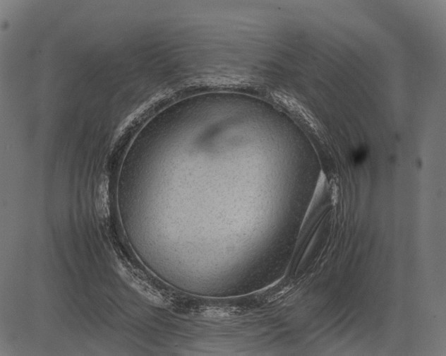 X0000082690684200702091658