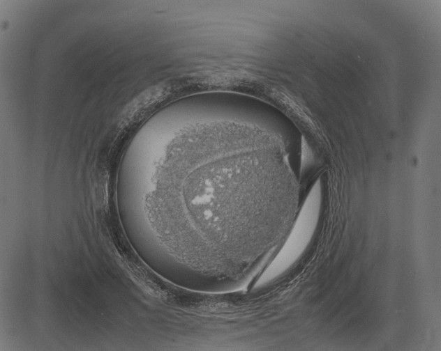 X0000082690685200702091658