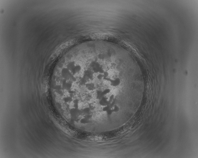 X0000082690687200702091658