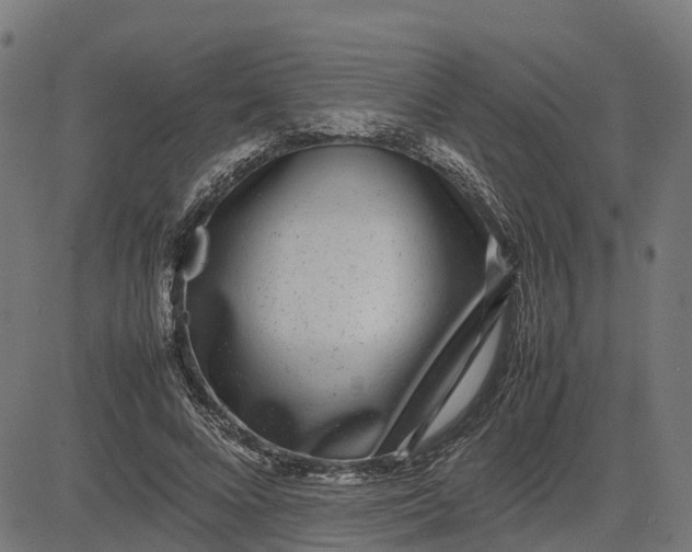 X0000082690688200702091658