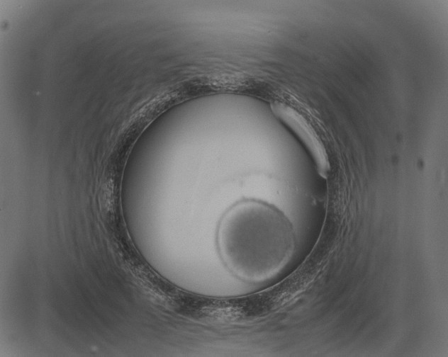 X0000082690689200702091658