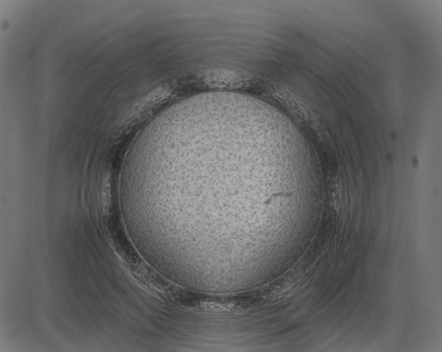 X0000082690690200702091658