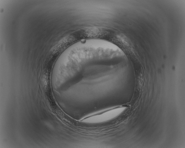 X0000082690691200702091658