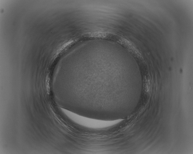 X0000082690692200702091658