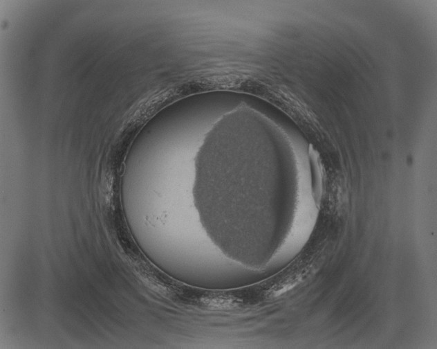 X0000082690693200702091658