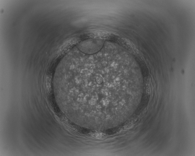 X0000082690695200702091658