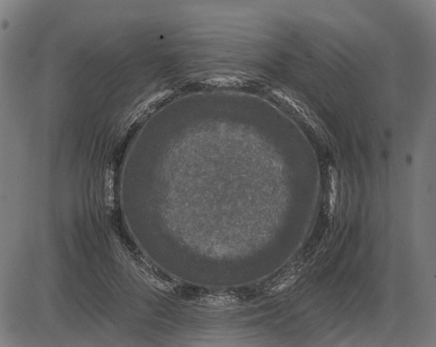 X0000082690696200702091658