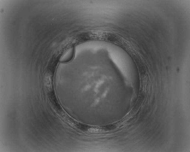 X0000082690699200702091657