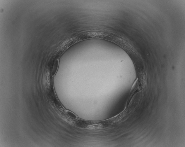 X0000082690700200702091657