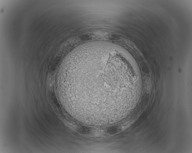 X0000082690701200702091657