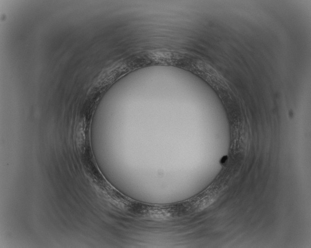 X0000082690702200702091657