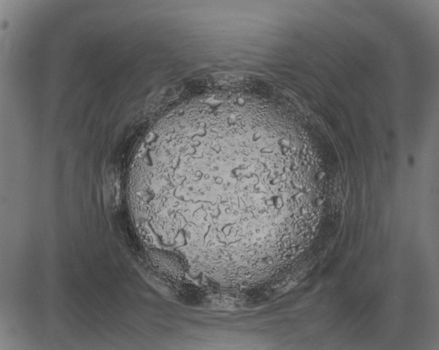 X0000082690703200702091657