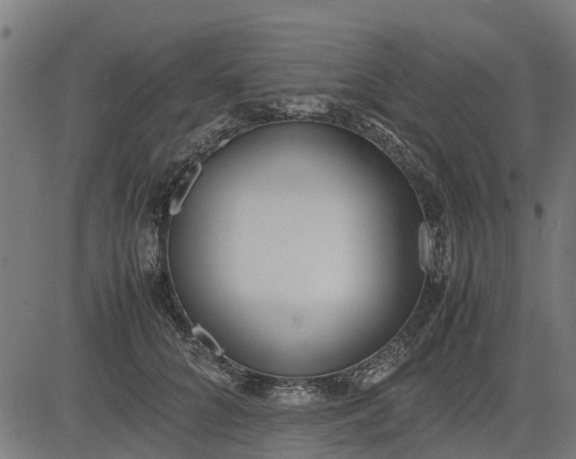 X0000082690704200702091657