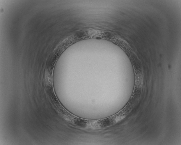 X0000082690705200702091657