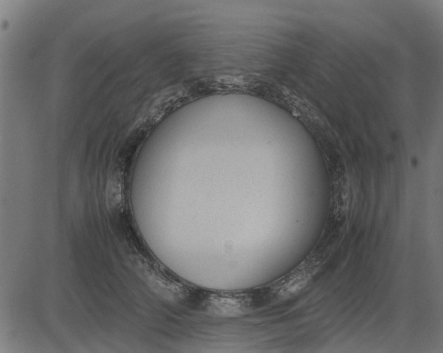 X0000082690706200702091657