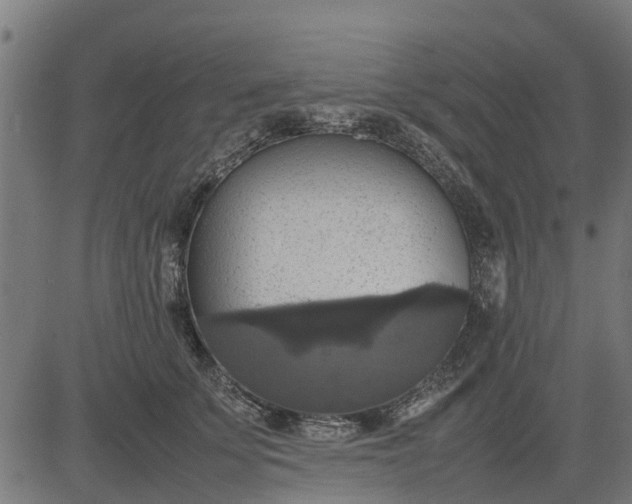 X0000082690707200702091657