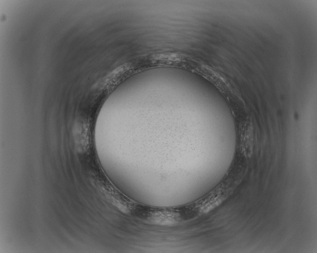 X0000082690708200702091657