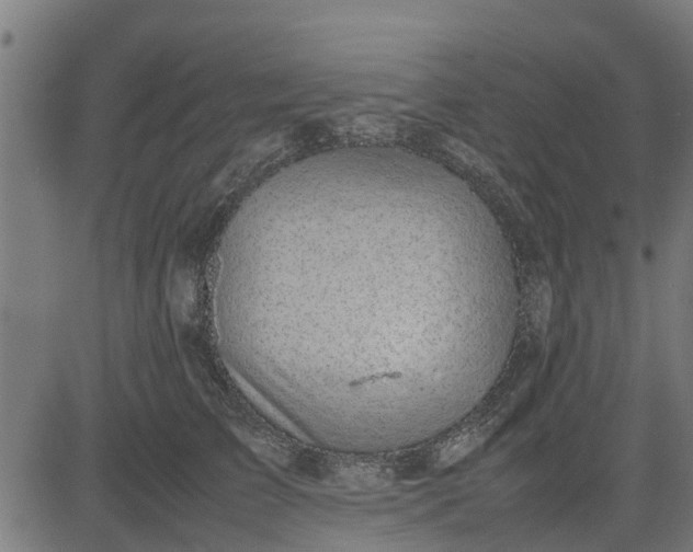 X0000082690709200702091657