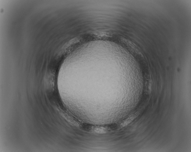 X0000082690710200702091657