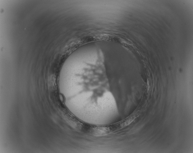 X0000082690711200702091657