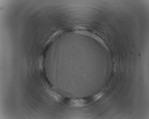 X0000082690712200702091657