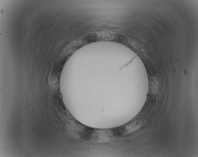 X0000082690713200702091657