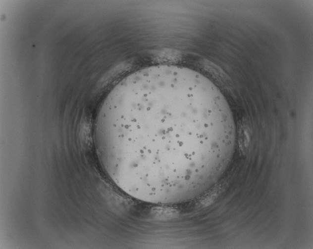 X0000082690714200702091657