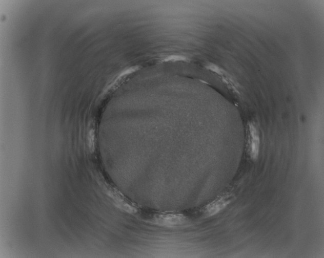 X0000082690716200702091657