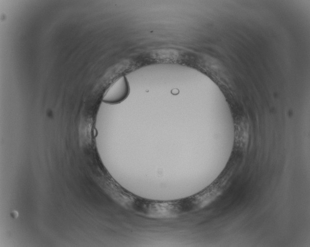 X0000082690717200702091657