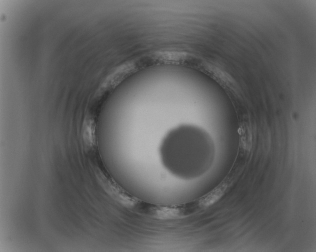 X0000082690718200702091657