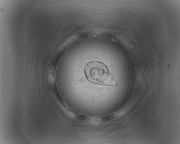 X0000082690719200702091657