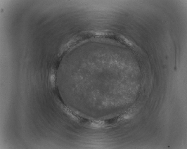 X0000082690720200702091657