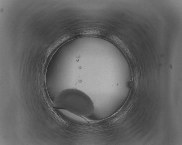 X0000082690721200702091656