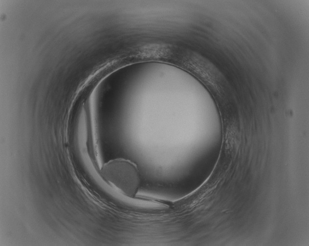 X0000082690722200702091656