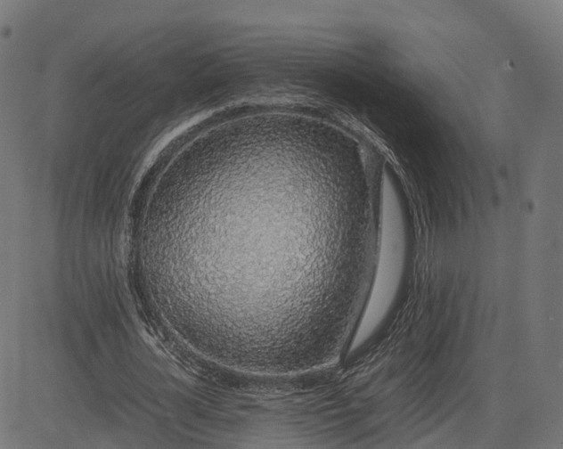 X0000082690724200702091656