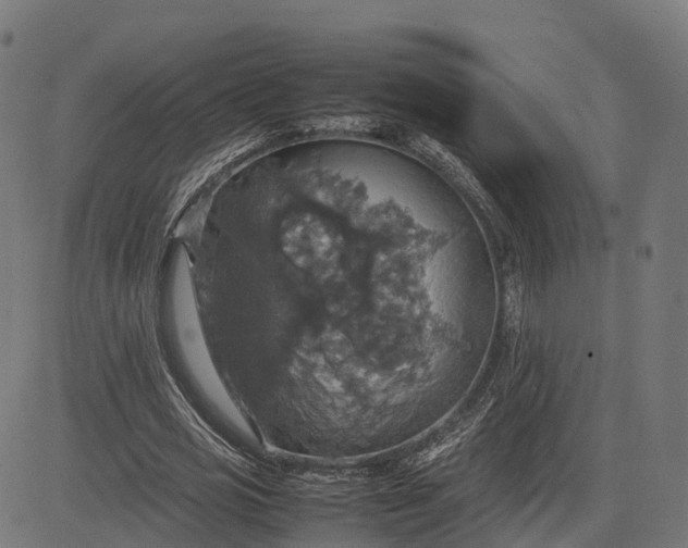 X0000082690725200702091656