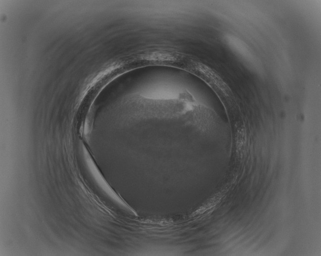 X0000082690727200702091656