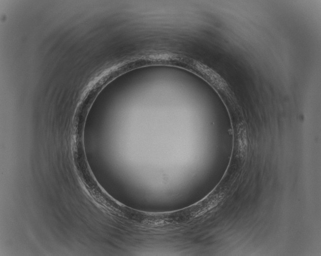 X0000082690728200702091656