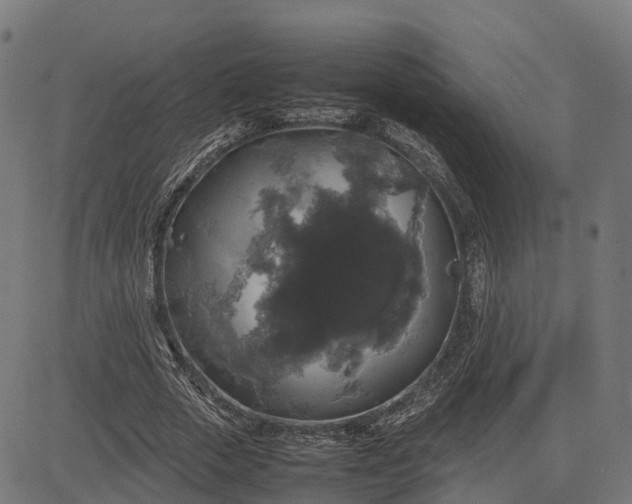 X0000082690729200702091656